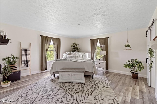 59301 Honeybee Rd, Senecaville, OH 43780 - bedroom featuring multiple windows, light wood finished floors, a textured ceiling, and a barn door