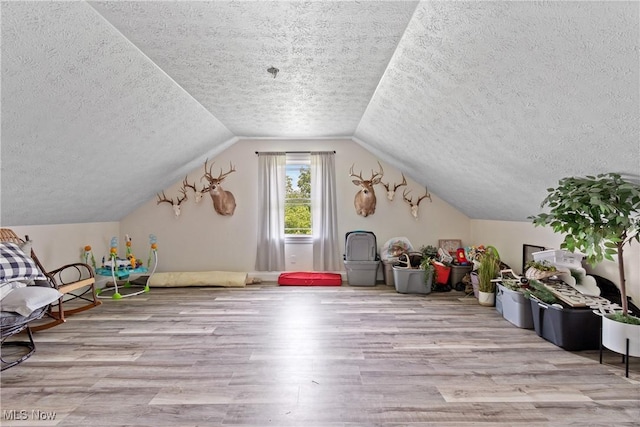 59301 Honeybee Rd, Senecaville, OH 43780 - bonus room with a textured ceiling, wood finished floors, and lofted ceiling
