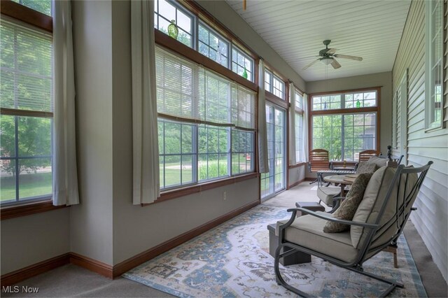1015 Cambridge Ct NE, Warren, OH 44484 - sunroom / solarium featuring baseboards and carpet flooring