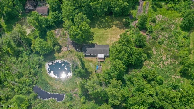 2500 Mcclintocksburg Rd, Deerfield, OH 44411 - aerial overview of property's location featuring a large body of water