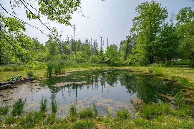 2500 Mcclintocksburg Rd, Deerfield, OH 44411 - water view with a heavily wooded area