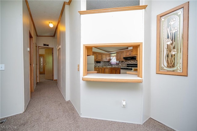 2500 Mcclintocksburg Rd, Deerfield, OH 44411 - hall with light carpet and crown molding