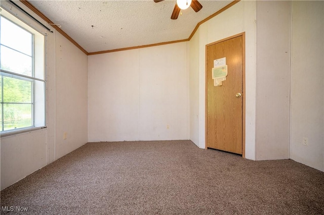 2500 Mcclintocksburg Rd, Deerfield, OH 44411 - carpeted empty room with a ceiling fan, crown molding, and a textured ceiling