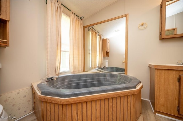 2500 Mcclintocksburg Rd, Deerfield, OH 44411 - bathroom featuring lofted ceiling, wood finished floors, a bath, a textured ceiling, and vanity