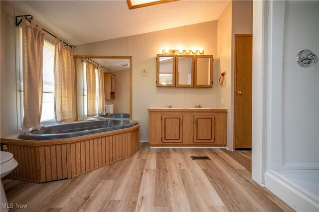 2500 Mcclintocksburg Rd, Deerfield, OH 44411 - full bath with vaulted ceiling, wood finished floors, vanity, a garden tub, and a textured ceiling