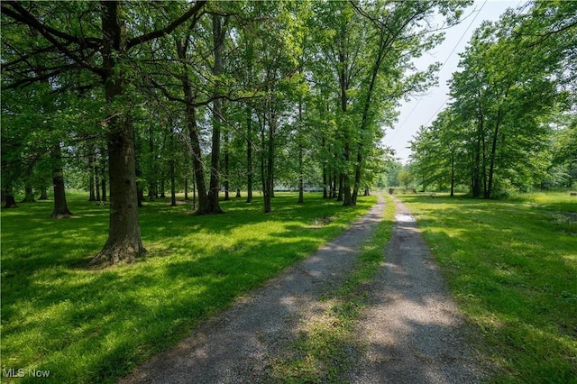 2500 Mcclintocksburg Rd, Deerfield, OH 44411 - view of community with driveway and a lawn