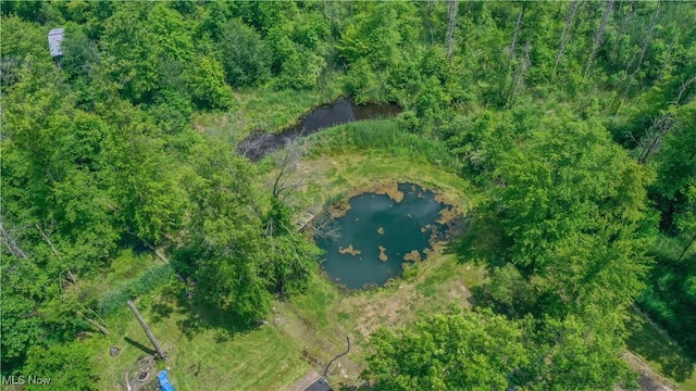 2500 Mcclintocksburg Rd, Deerfield, OH 44411 - aerial view of property's location featuring a nearby body of water