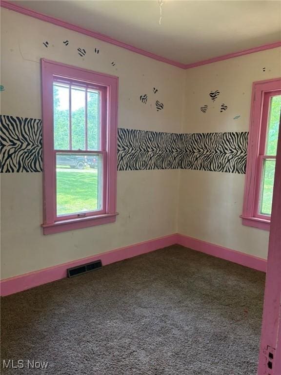 105 S Maple Hts, New Lexington, OH 43764 - carpeted spare room featuring ornamental molding and baseboards