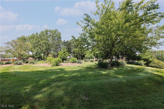 3901 Beaumont Dr, Weirton, WV 26062 - view of grassy yard