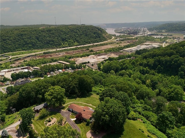 3901 Beaumont Dr, Weirton, WV 26062 - bird's eye view of a heavily wooded area