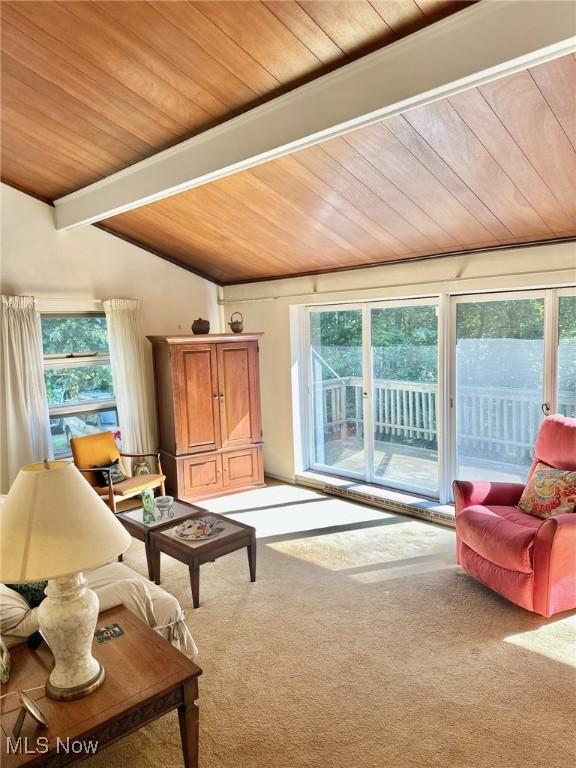 186 Bennett Blvd, Wintersville, OH 43953 - carpeted living room with wood ceiling