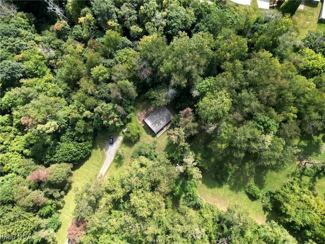 186 Bennett Blvd, Wintersville, OH 43953 - aerial view of property and surrounding area with a forest