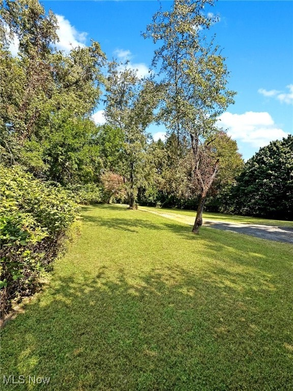186 Bennett Blvd, Wintersville, OH 43953 - view of grassy yard