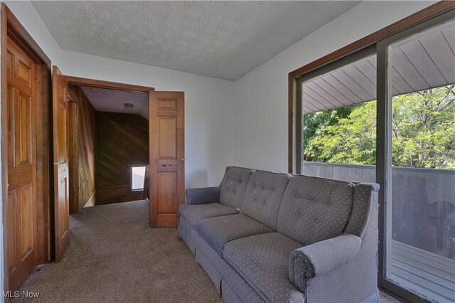 3378 State Route 164, Leetonia, OH 44431 - living area featuring carpet floors, healthy amount of natural light, and a textured ceiling