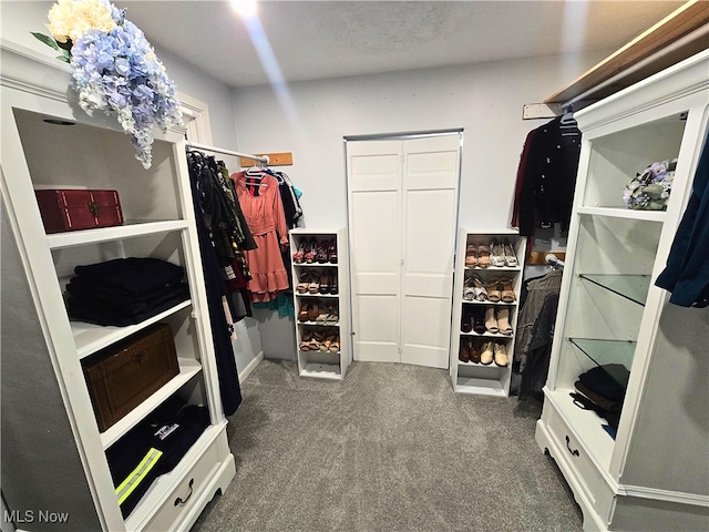 8240 Bellflower Rd, Mentor, OH 44060 - walk in closet with carpet floors