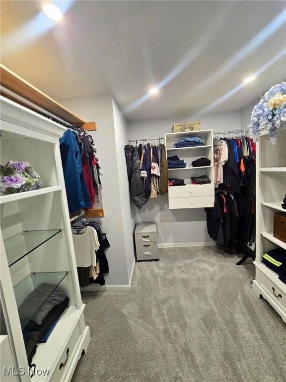 8240 Bellflower Rd, Mentor, OH 44060 - spacious closet with carpet flooring