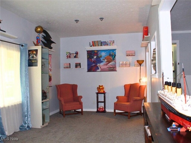 8240 Bellflower Rd, Mentor, OH 44060 - sitting room with a textured ceiling and carpet flooring