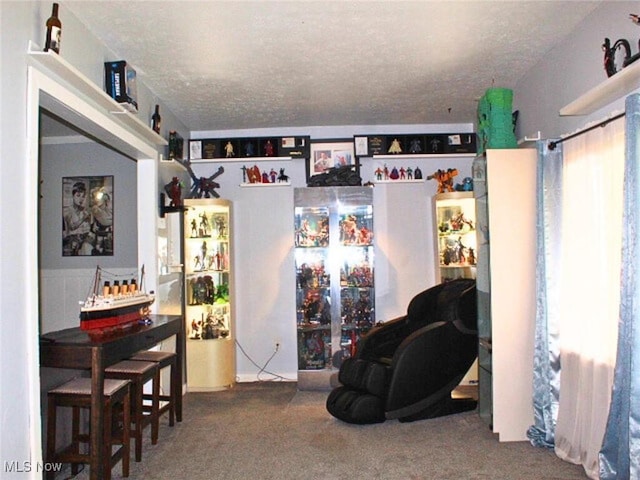 8240 Bellflower Rd, Mentor, OH 44060 - living area featuring carpet and a textured ceiling