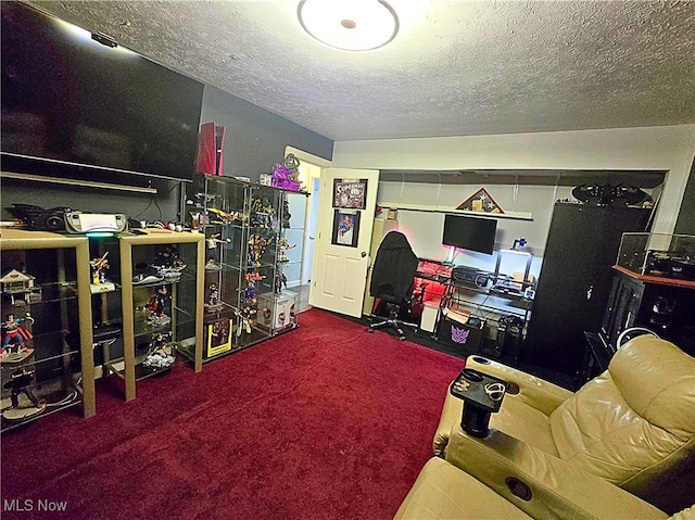 8240 Bellflower Rd, Mentor, OH 44060 - carpeted home office with a textured ceiling