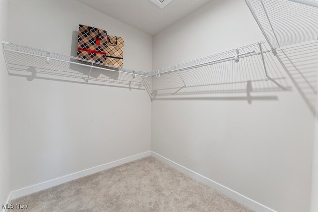 7605 Lake Rd, Madison, OH 44057 - photo 20