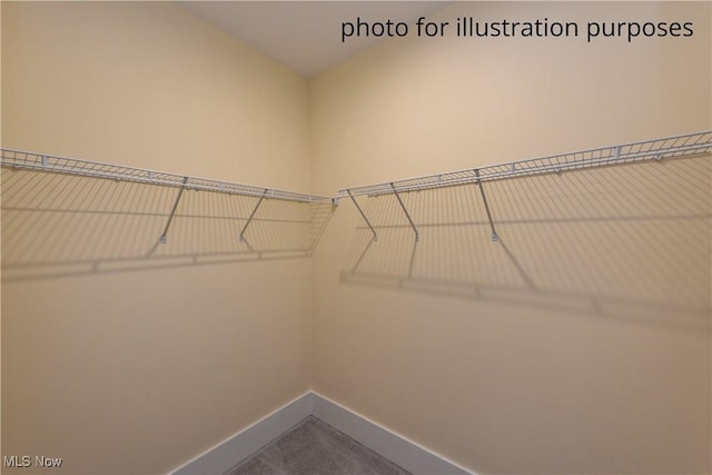 52 Boulder Blvd, Peninsula, OH 44264 - walk in closet with dark colored carpet