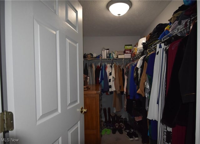 23004 Chandlers Ln Unit 4-344, Olmsted Falls, OH 44138 - view of walk in closet