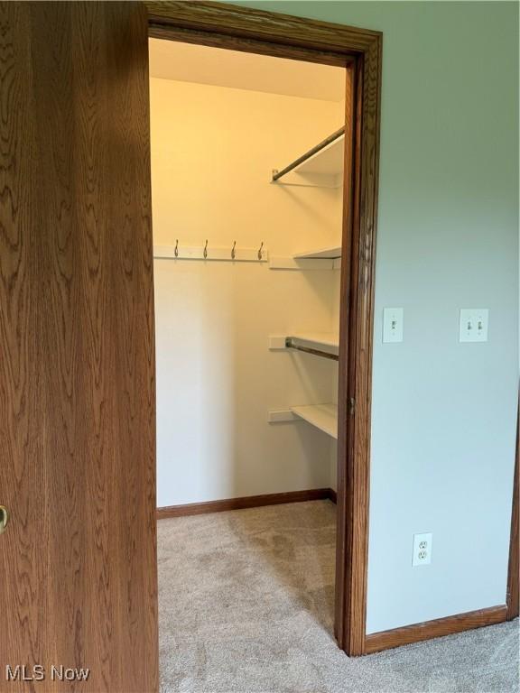 2359 Schellin Rd, Wooster, OH 44691 - walk in closet with carpet