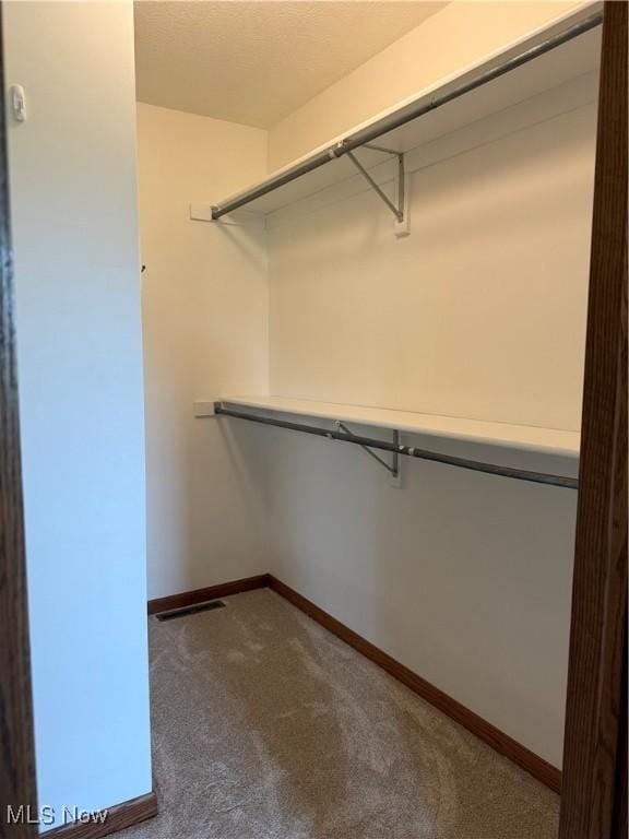 2359 Schellin Rd, Wooster, OH 44691 - spacious closet with carpet