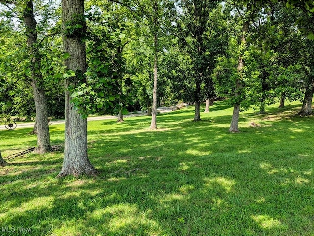 77 Morgan Rdg, Walker, WV 26180 - photo 5