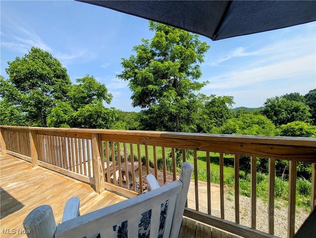 77 Morgan Rdg, Walker, WV 26180 - photo 9