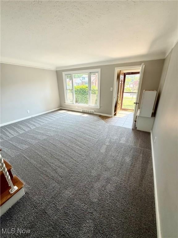 450 E 255th St, Euclid, OH 44132 - unfurnished living room featuring carpet floors, ornamental molding, and a textured ceiling