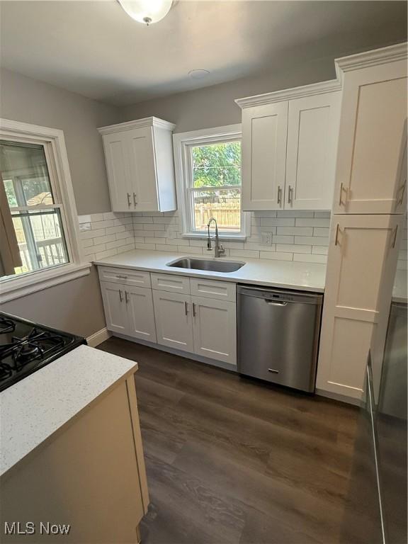 450 E 255th St, Euclid, OH 44132 - kitchen featuring dishwasher, white cabinetry, dark wood finished floors, and light countertops