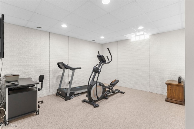3202 S Lipkey Rd, North Jackson, OH 44451 - workout room featuring carpet floors, a paneled ceiling, and recessed lighting