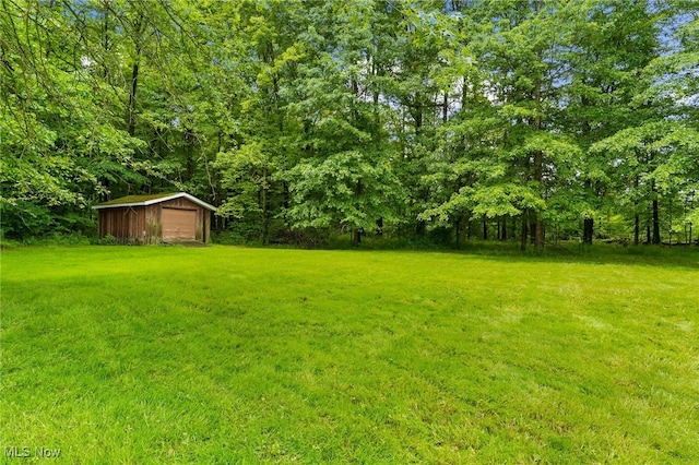 3202 S Lipkey Rd, North Jackson, OH 44451 - view of grassy yard featuring an outbuilding and a garage