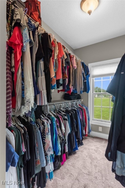 3202 S Lipkey Rd, North Jackson, OH 44451 - spacious closet with carpet