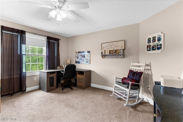 3202 S Lipkey Rd, North Jackson, OH 44451 - carpeted office space with baseboards and ceiling fan