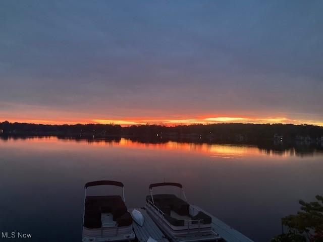 4869 Coleman Dr, Akron, OH 44319 - dock with a water view