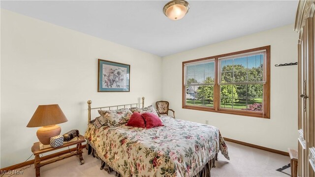 14751 Lancelot Ln E, North Royalton, OH 44133 - bedroom with carpet and baseboards