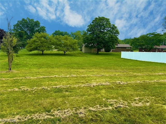 814 Almasy Dr, Campbell, OH 44405 - view of yard