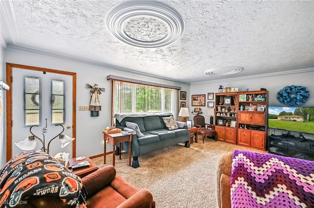 14860 Stoltz Rd, Diamond, OH 44412 - living area with a textured ceiling, carpet floors, and crown molding
