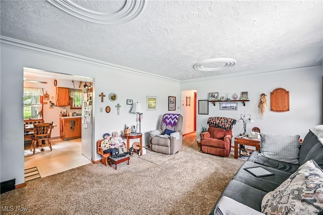 14860 Stoltz Rd, Diamond, OH 44412 - living room featuring ornamental molding, carpet flooring, and a textured ceiling