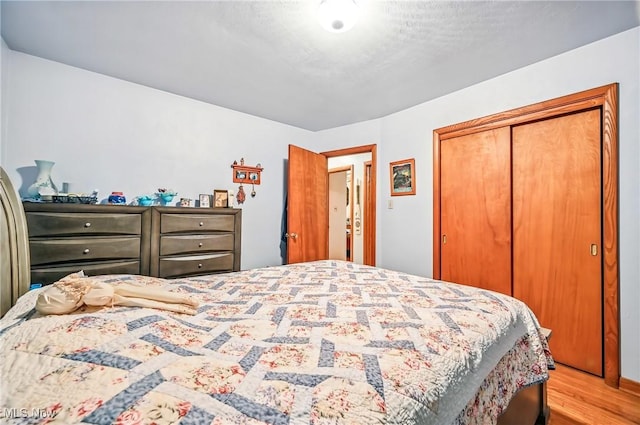 14860 Stoltz Rd, Diamond, OH 44412 - bedroom with wood finished floors and a closet