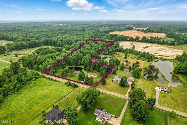 14860 Stoltz Rd, Diamond, OH 44412 - aerial overview of property's location featuring a nearby body of water and property boundaries highlighted