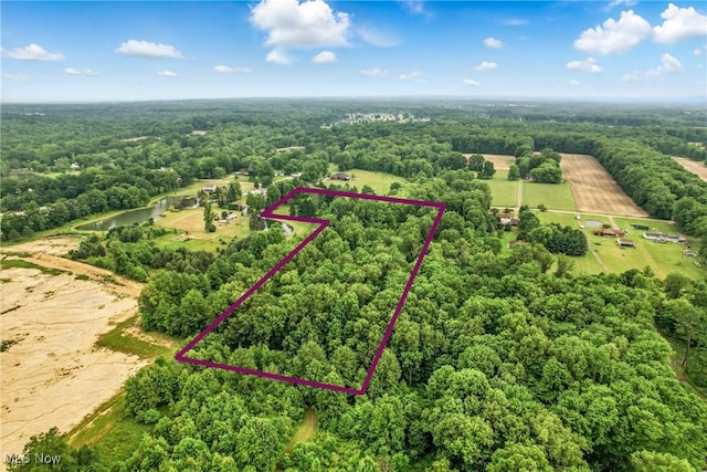 14860 Stoltz Rd, Diamond, OH 44412 - aerial view of sparsely populated area with a heavily wooded area and property parcel outlined
