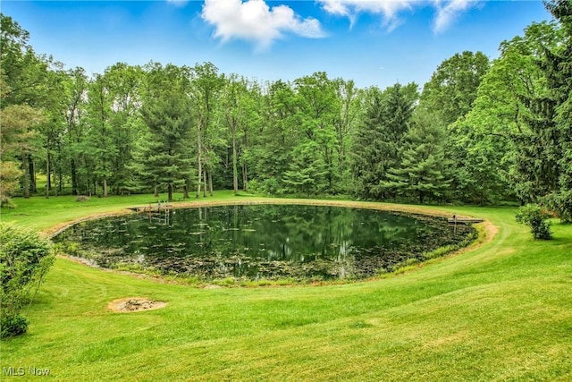 14860 Stoltz Rd, Diamond, OH 44412 - view of community featuring a yard, a water view, and a wooded view