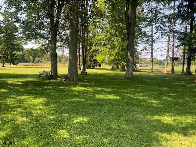 14860 Stoltz Rd, Diamond, OH 44412 - view of green lawn