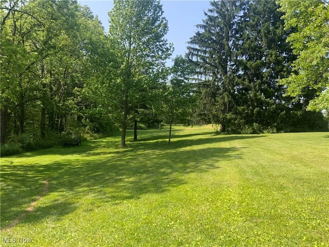 14860 Stoltz Rd, Diamond, OH 44412 - view of grassy yard