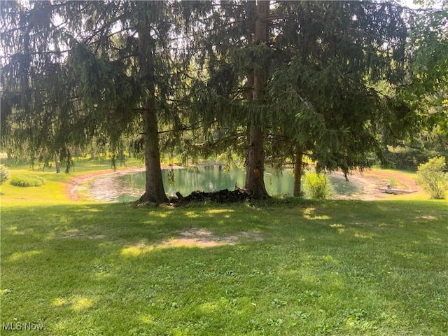 14860 Stoltz Rd, Diamond, OH 44412 - view of grassy yard
