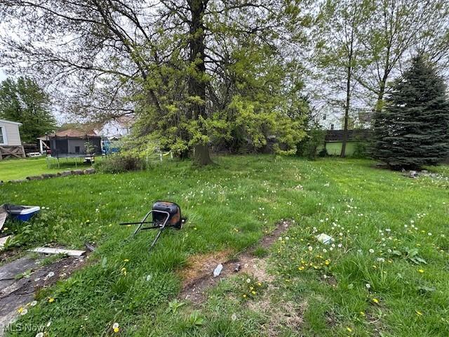 6108 Gateway Blvd S, Elyria, OH 44035 - view of yard