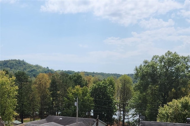 23516 Hideaway Dr, Senecaville, OH 43780 - exterior space with a forest